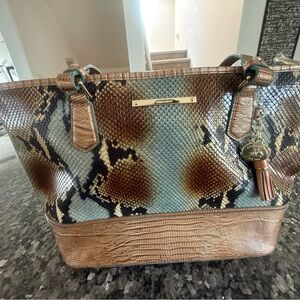 Brahmin Brown and Tan Women's Bag